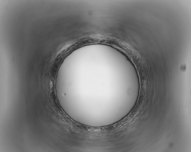 X0000095121302200712070933