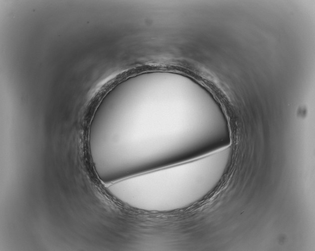 X0000095121304200712070933
