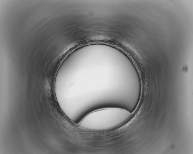 X0000095121305200712070933
