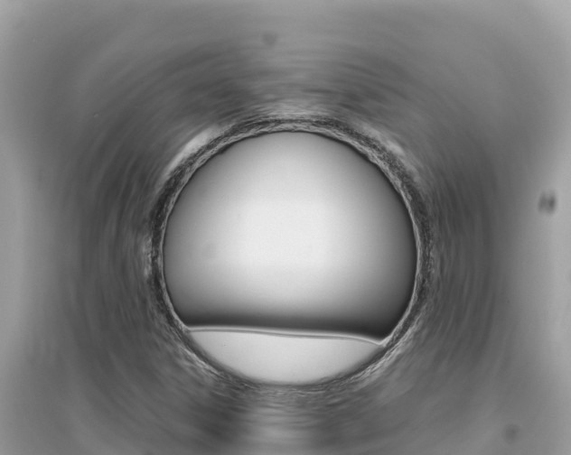X0000095121306200712070933