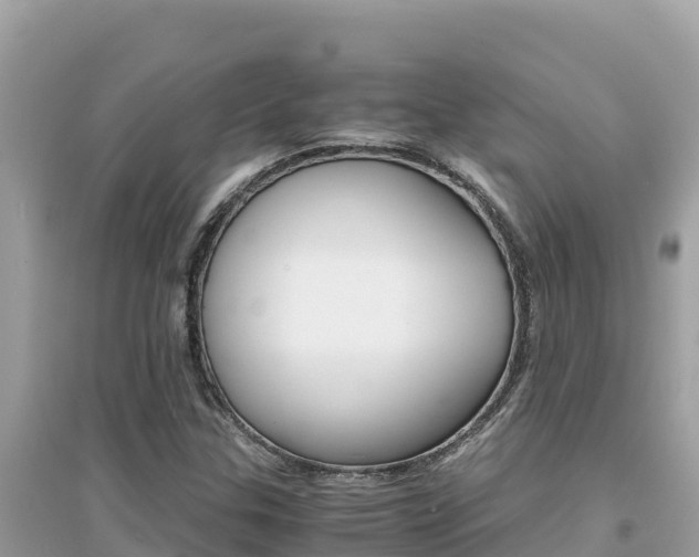 X0000095121307200712070933