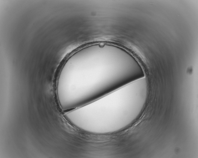 X0000095121308200712070933