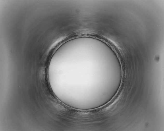 X0000095121309200712070933