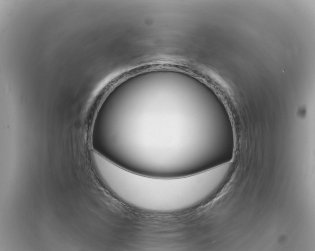 X0000095121310200712070933