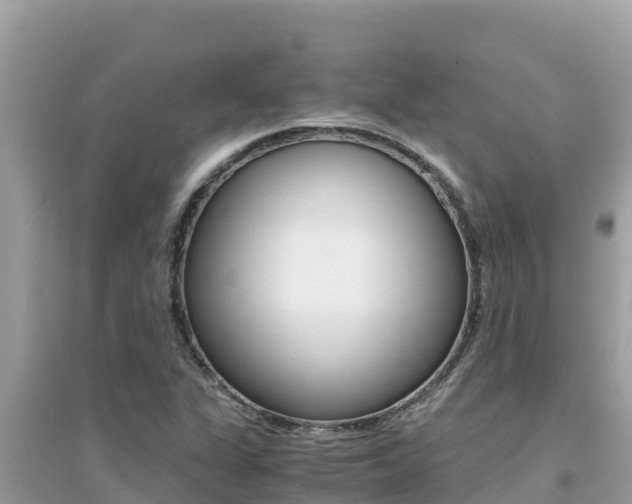 X0000095121311200712070933