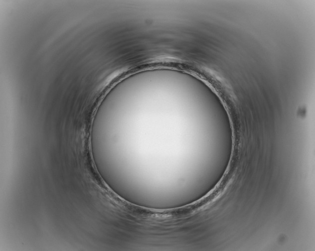 X0000095121313200712070933