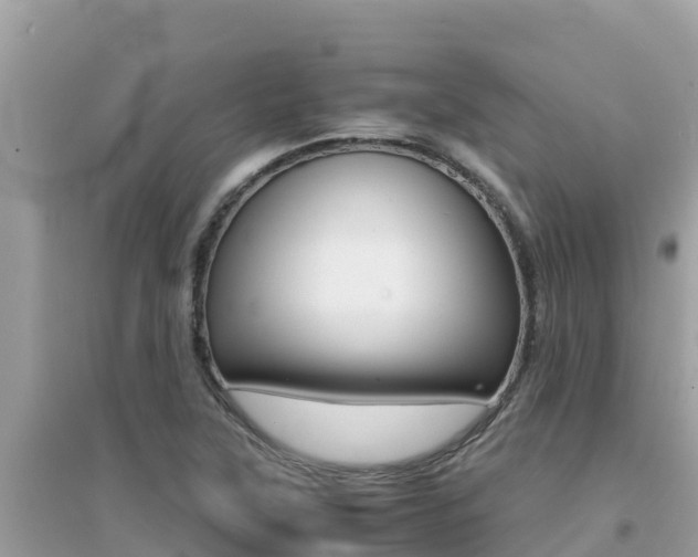 X0000095121315200712070933