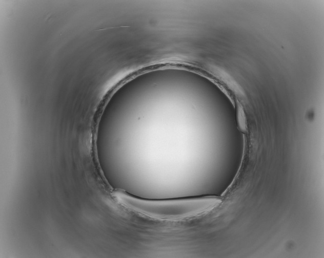 X0000095121316200712070933