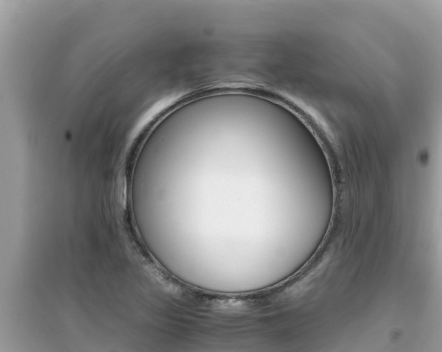X0000095121317200712070933