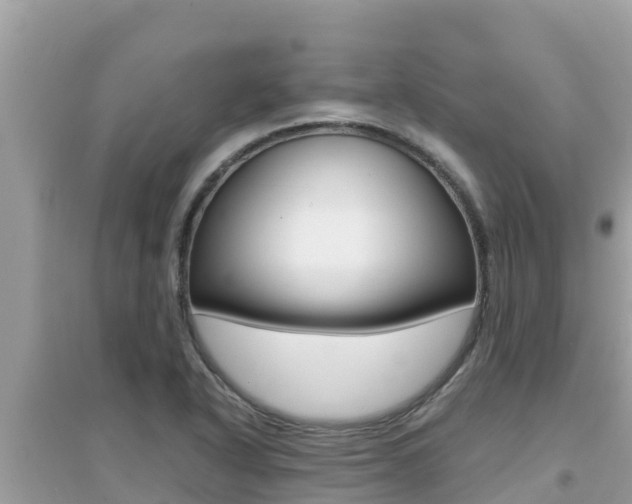X0000095121318200712070933
