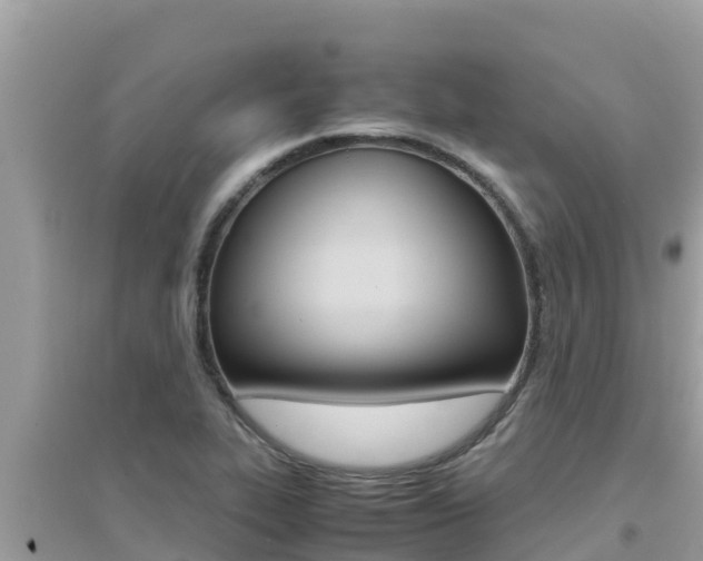 X0000095121319200712070933