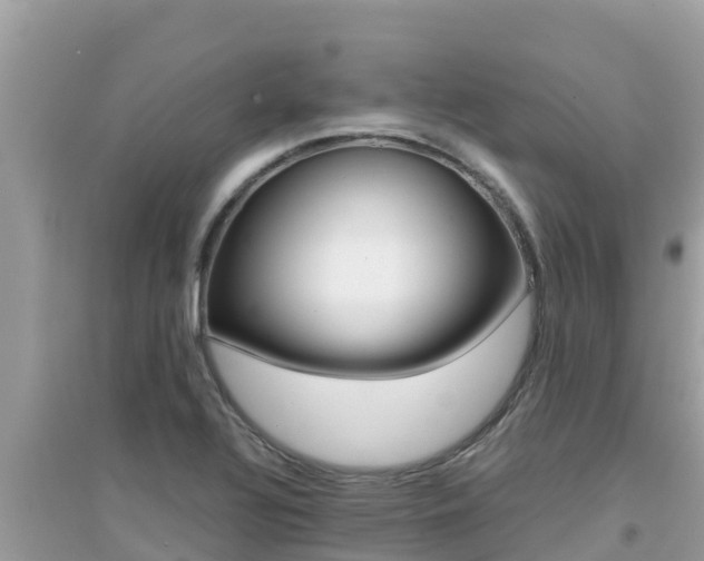 X0000095121320200712070933