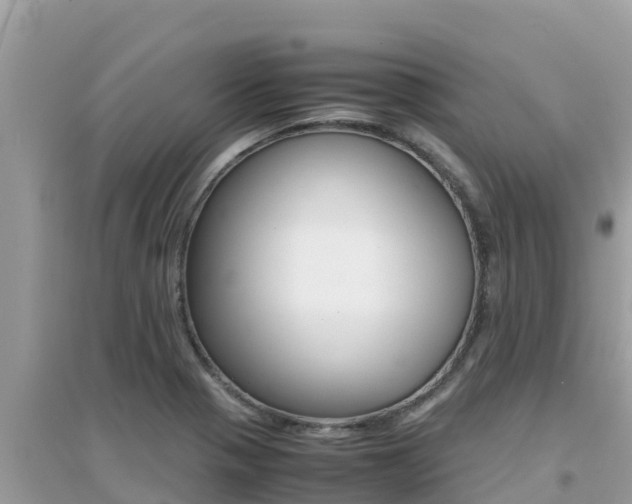 X0000095121321200712070933