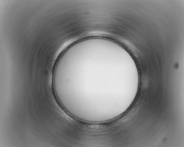 X0000095121322200712070933
