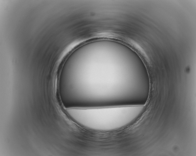 X0000095121323200712070934