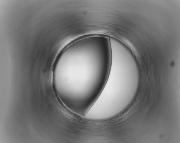 X0000095121324200712070934