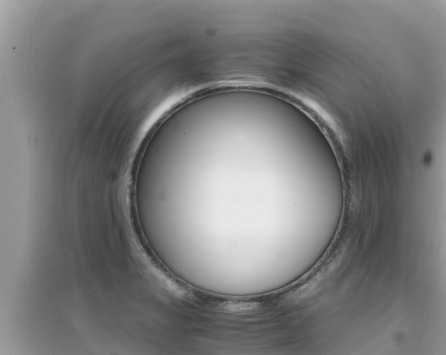 X0000095121325200712070934
