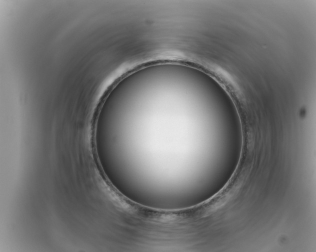 X0000095121326200712070934