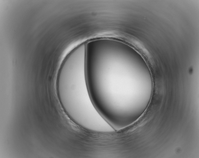 X0000095121328200712070934