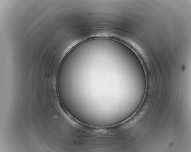 X0000095121329200712070934