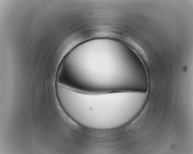 X0000095121330200712070934