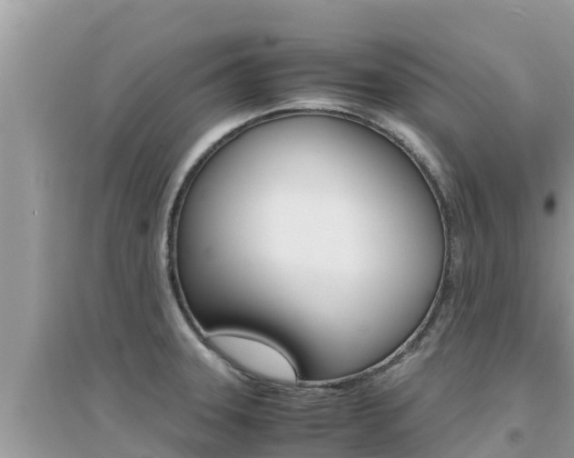 X0000095121331200712070934