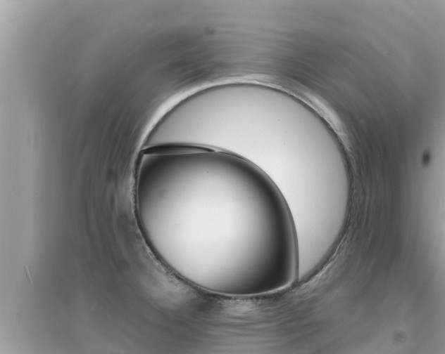 X0000095121332200712070934