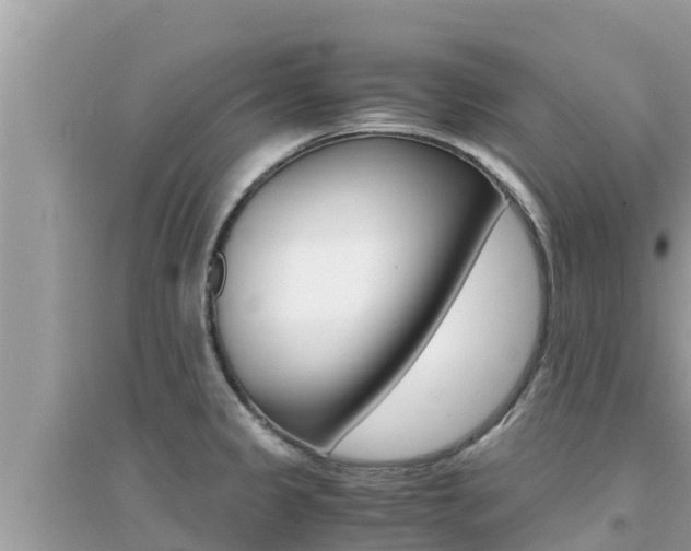X0000095121333200712070934