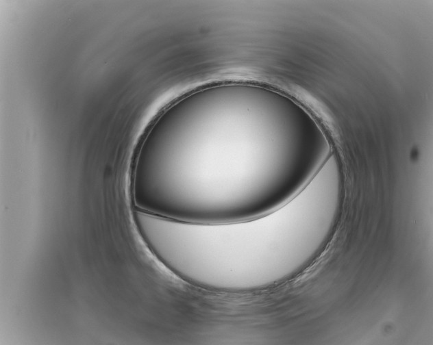 X0000095121334200712070934