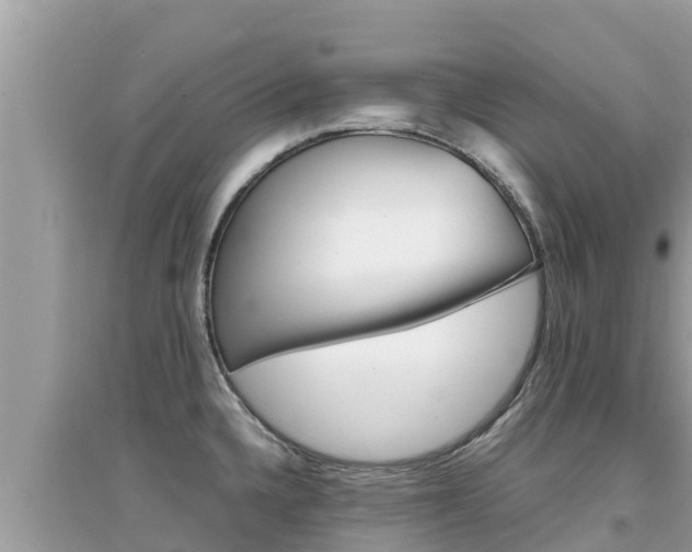 X0000095121336200712070934
