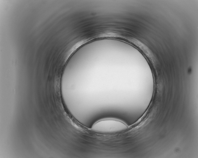 X0000095121337200712070934