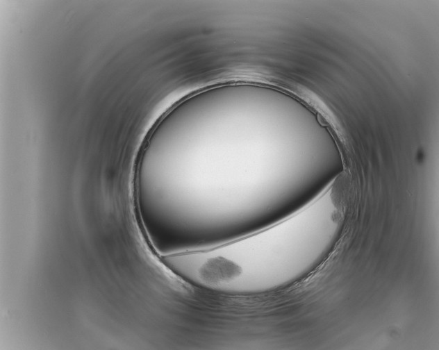 X0000095121339200712070934