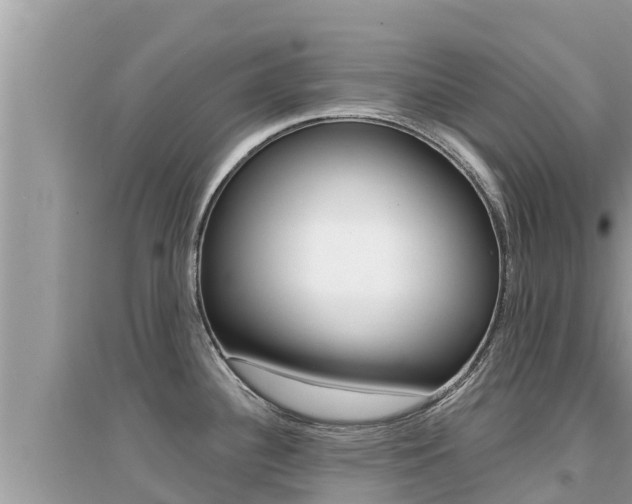 X0000095121340200712070934