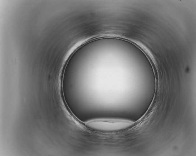 X0000095121341200712070934