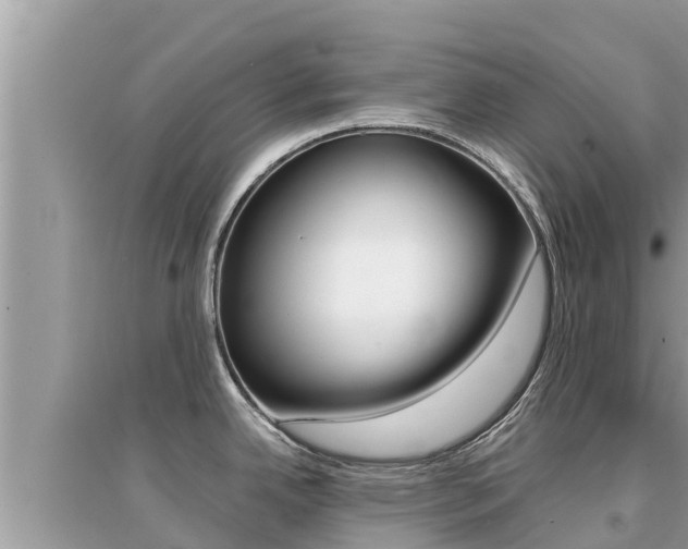 X0000095121342200712070934