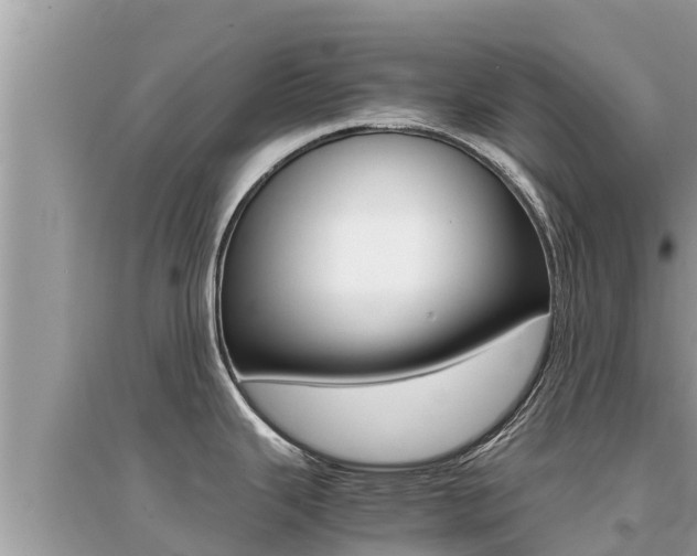 X0000095121343200712070934