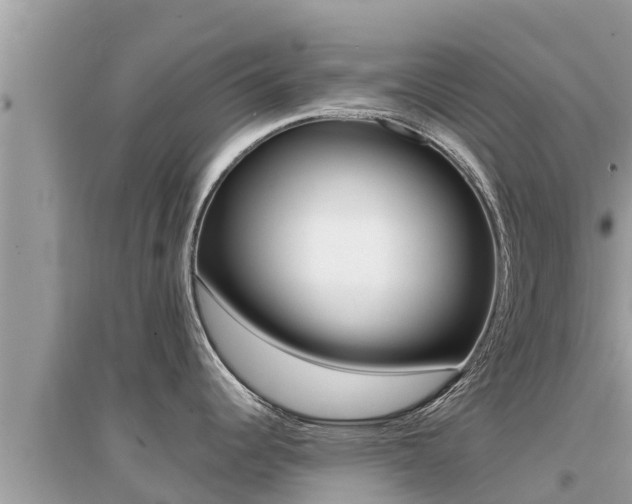 X0000095121344200712070934