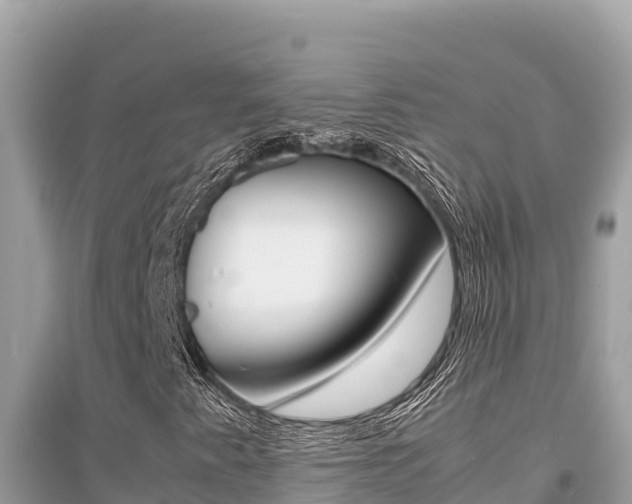 X0000095121345200712070933