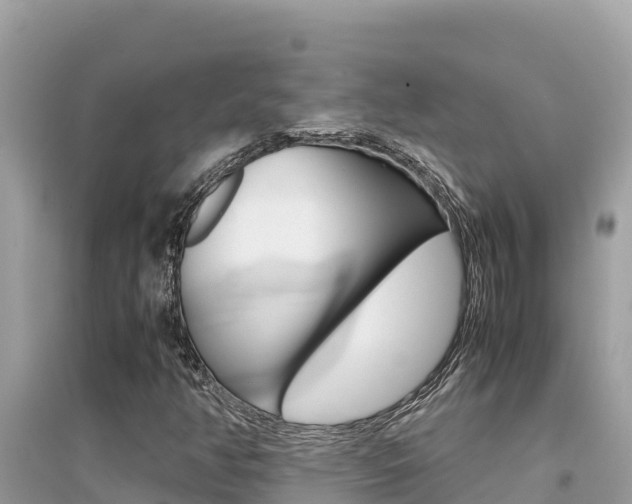 X0000095121350200712070933