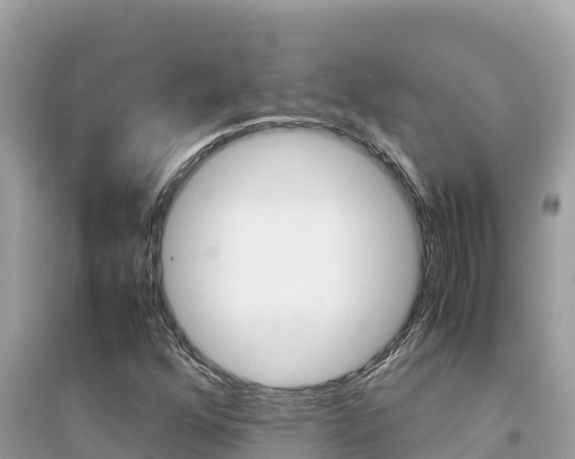 X0000095121352200712070933