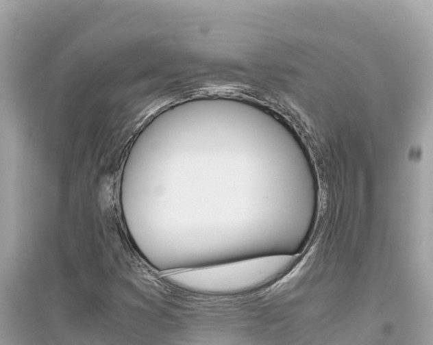 X0000095121353200712070933