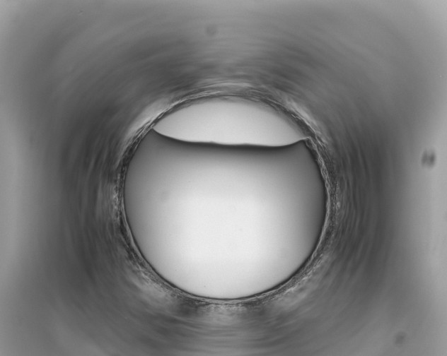 X0000095121354200712070933