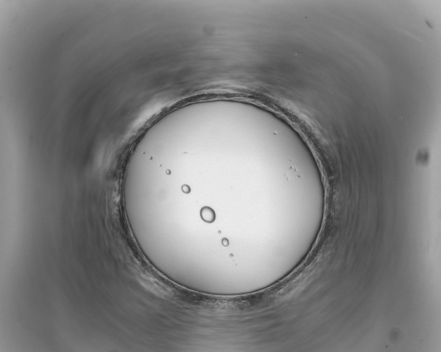 X0000095121355200712070933