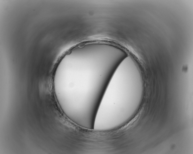 X0000095121358200712070933