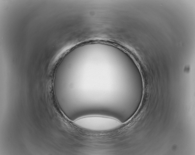 X0000095121359200712070933