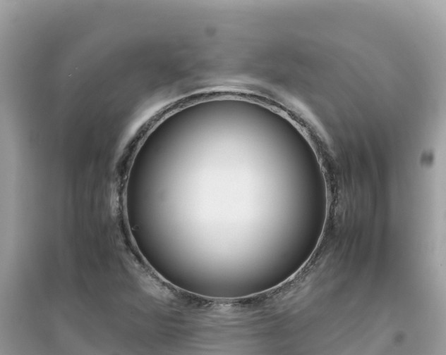 X0000095121360200712070933