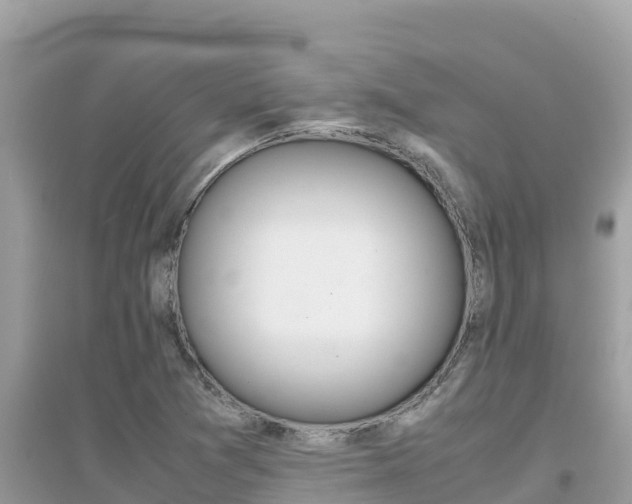 X0000095121361200712070933