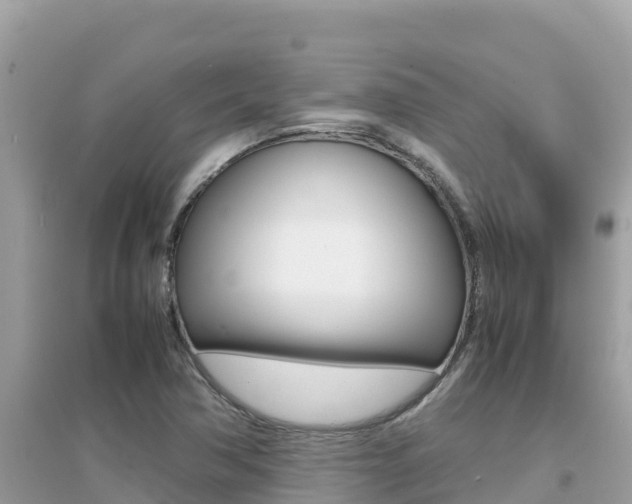 X0000095121362200712070933