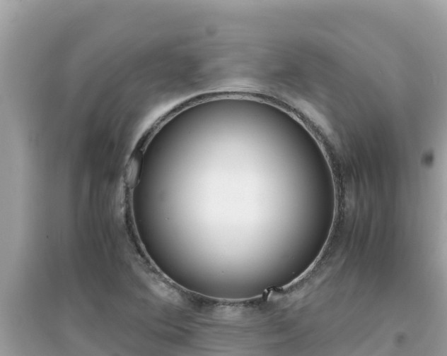 X0000095121364200712070933