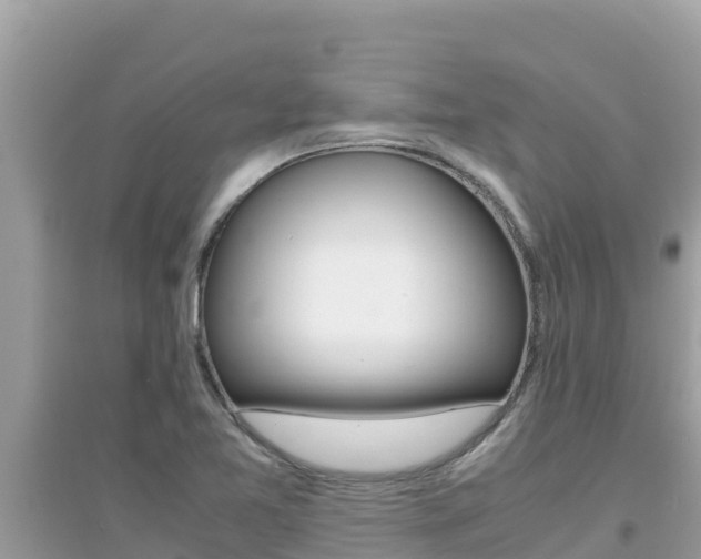 X0000095121365200712070933